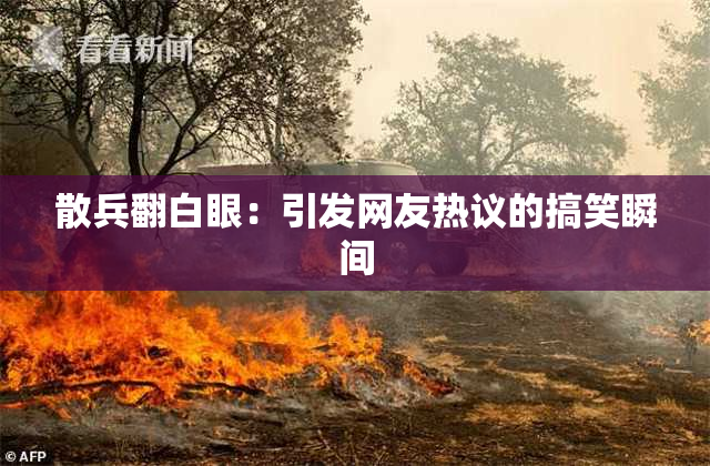 散兵翻白眼：引发网友热议的搞笑瞬间