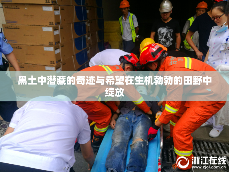 黑土中潜藏的奇迹与希望在生机勃勃的田野中绽放