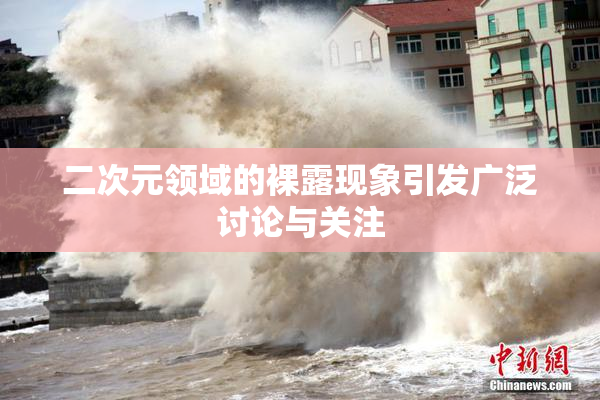 二次元领域的裸露现象引发广泛讨论与关注
