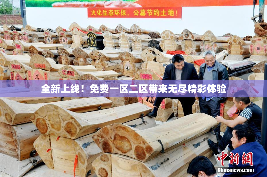 全新上线！免费一区二区带来无尽精彩体验