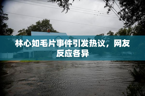 林心如毛片事件引发热议，网友反应各异