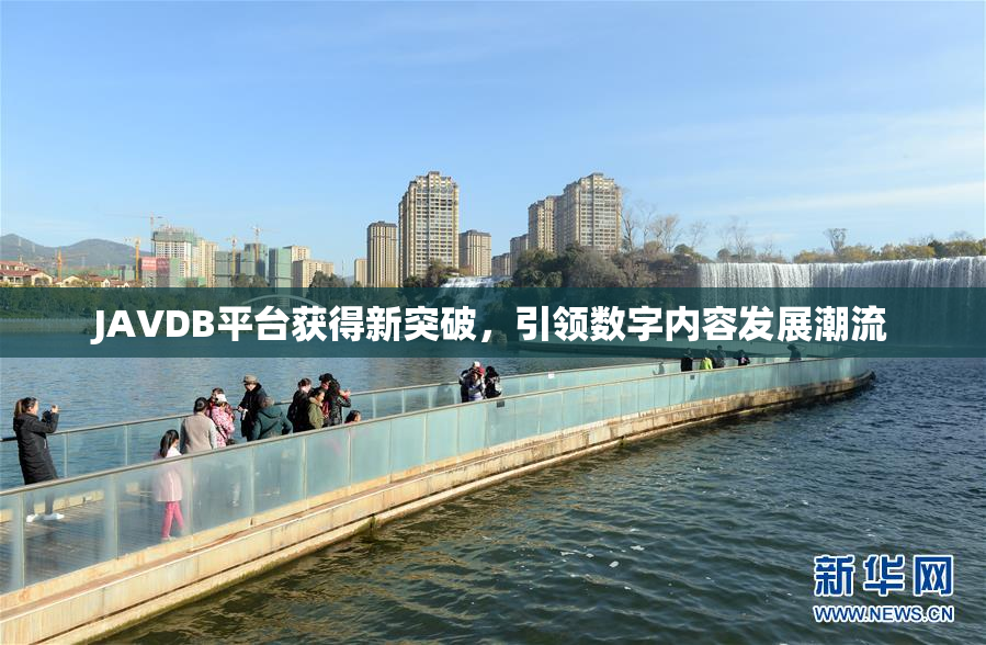 JAVDB平台获得新突破，引领数字内容发展潮流