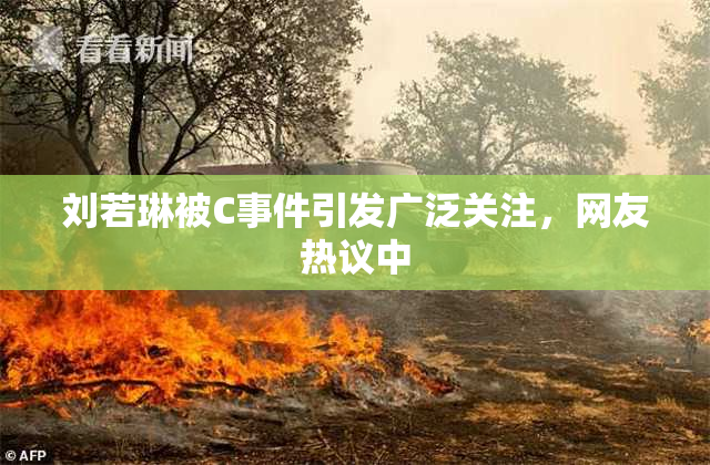 刘若琳被C事件引发广泛关注，网友热议中