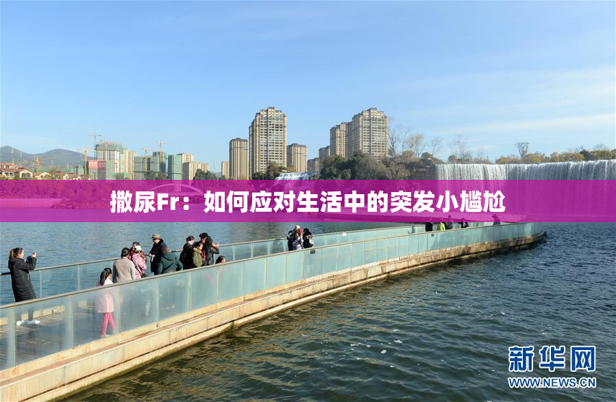 撒尿Fr：如何应对生活中的突发小尴尬