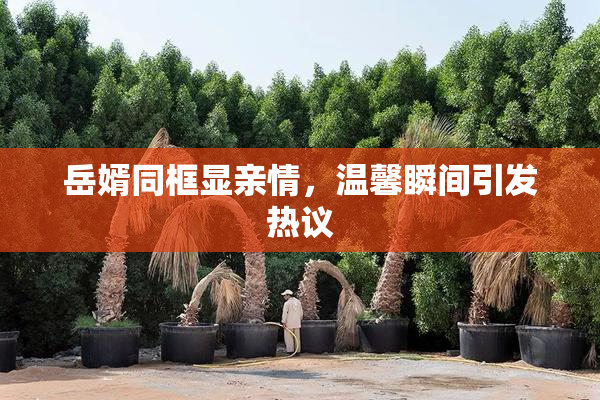 岳婿同框显亲情，温馨瞬间引发热议