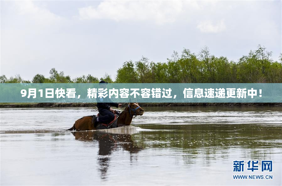 9月1日快看，精彩内容不容错过，信息速递更新中！