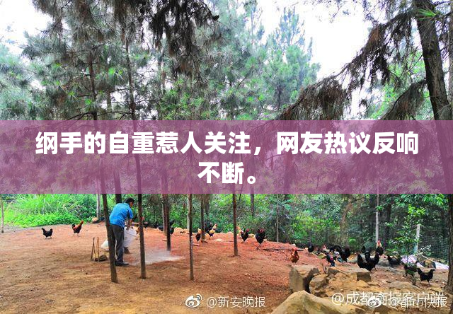 纲手的自重惹人关注，网友热议反响不断。
