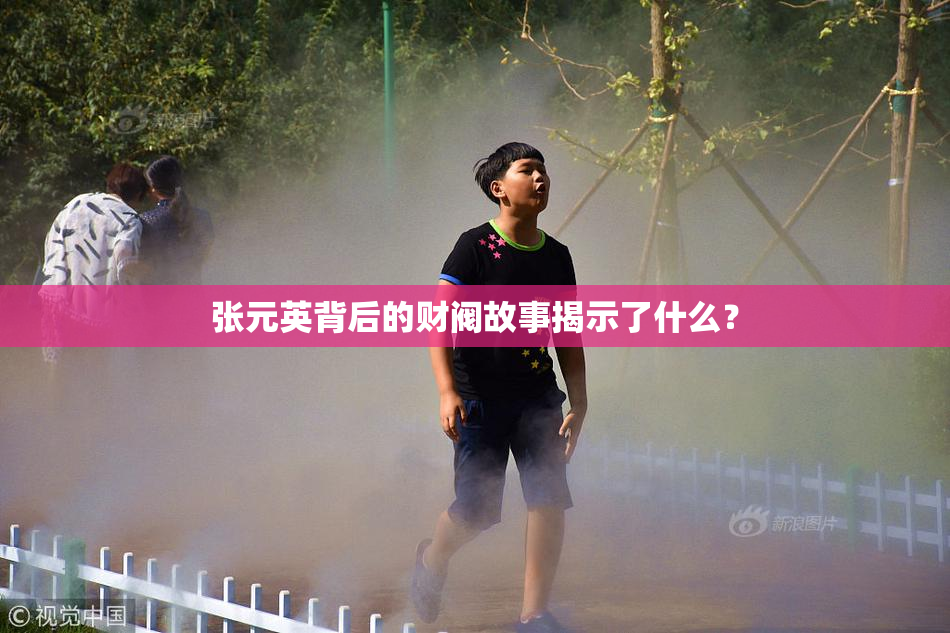 张元英背后的财阀故事揭示了什么？
