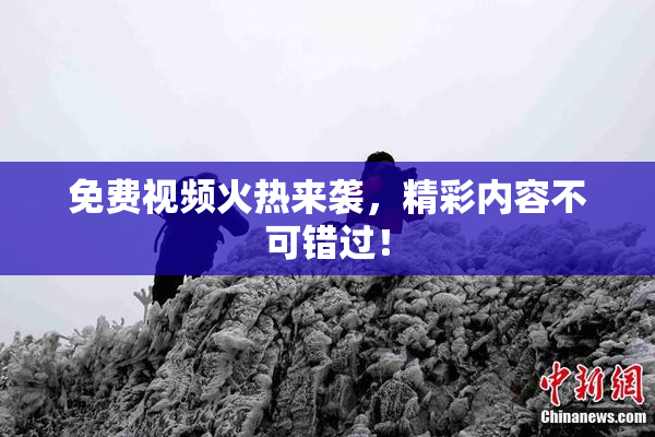 免费视频火热来袭，精彩内容不可错过！