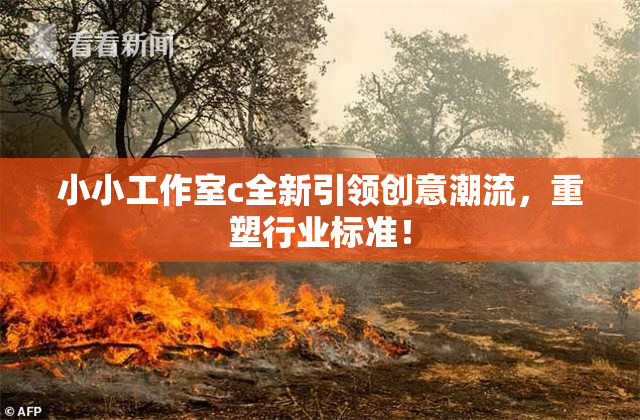 小小工作室c全新引领创意潮流，重塑行业标准！