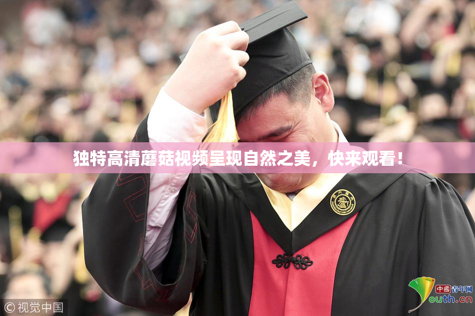 独特高清蘑菇视频呈现自然之美，快来观看！
