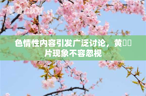 色情性内容引发广泛讨论，黄❌‌片现象不容忽视