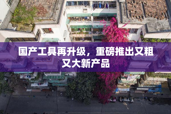 国产工具再升级，重磅推出又粗又大新产品