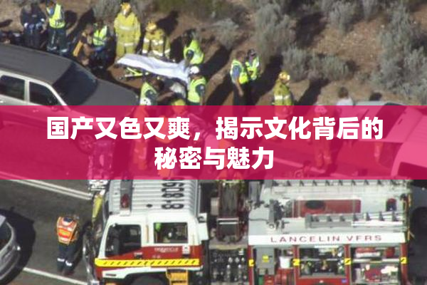 国产又色又爽，揭示文化背后的秘密与魅力