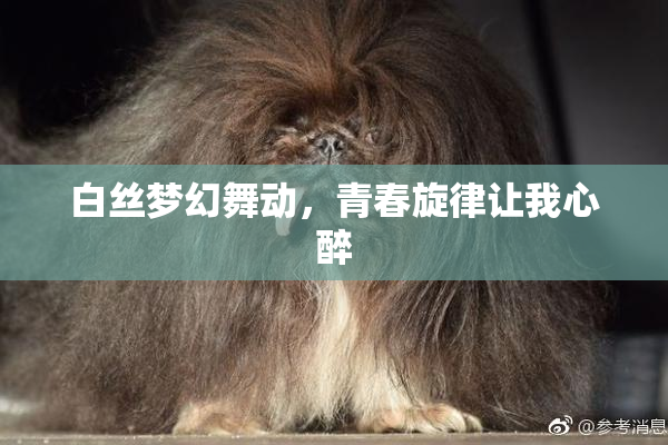 白丝梦幻舞动，青春旋律让我心醉