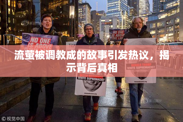 流萤被调教成的故事引发热议，揭示背后真相