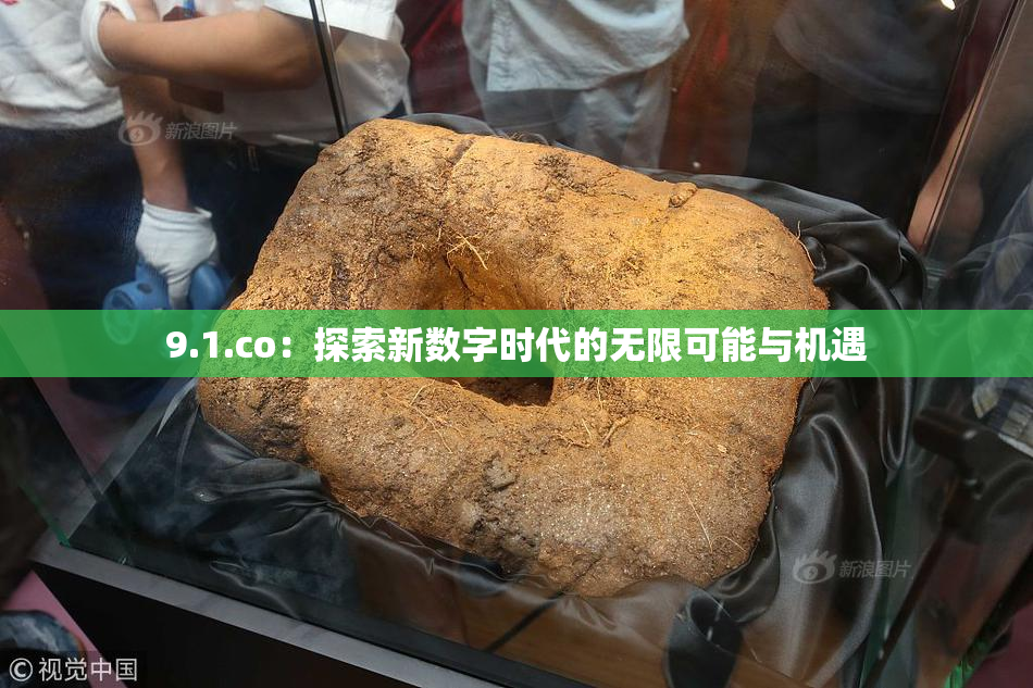 9.1.co：探索新数字时代的无限可能与机遇
