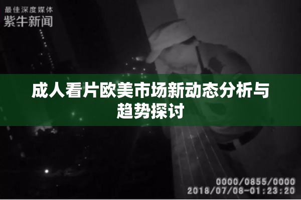 成人看片欧美市场新动态分析与趋势探讨
