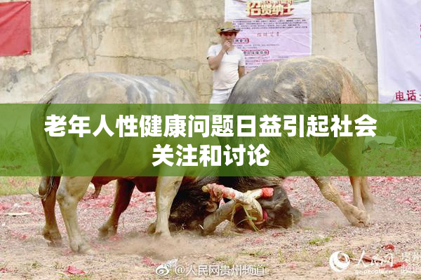 老年人性健康问题日益引起社会关注和讨论