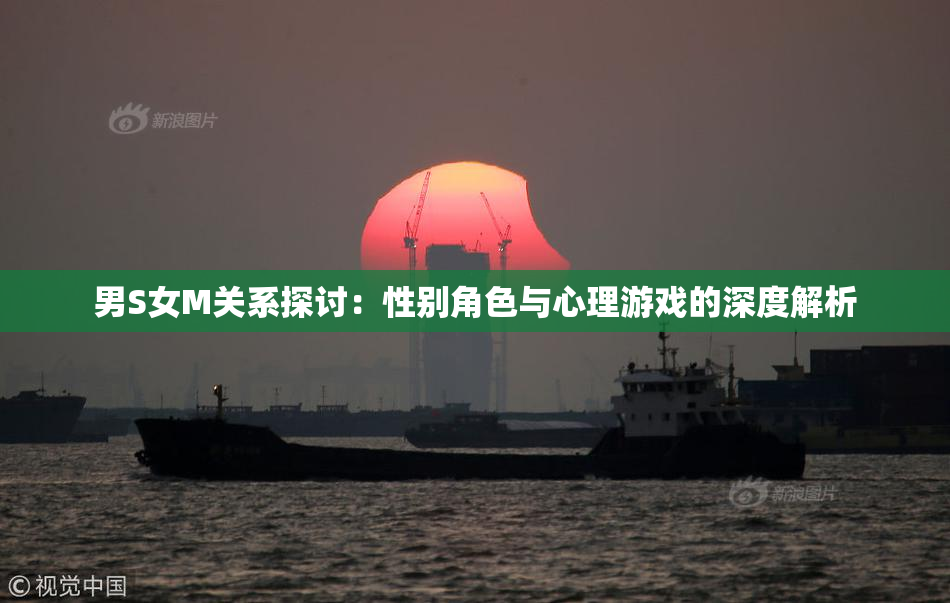 男S女M关系探讨：性别角色与心理游戏的深度解析