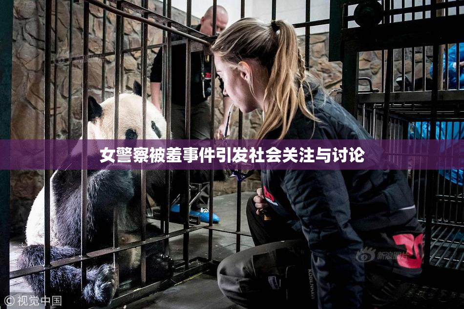 女警察被羞事件引发社会关注与讨论