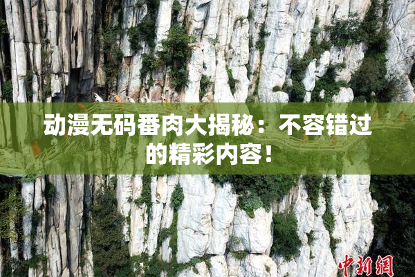 动漫无码番肉大揭秘：不容错过的精彩内容！