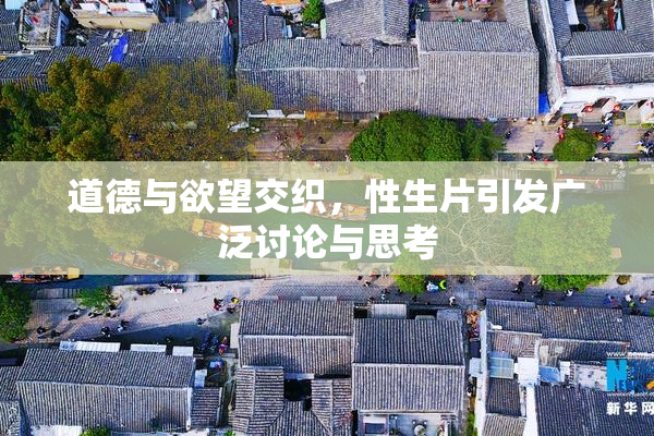 道德与欲望交织，性生片引发广泛讨论与思考