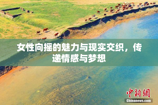 女性向摇的魅力与现实交织，传递情感与梦想