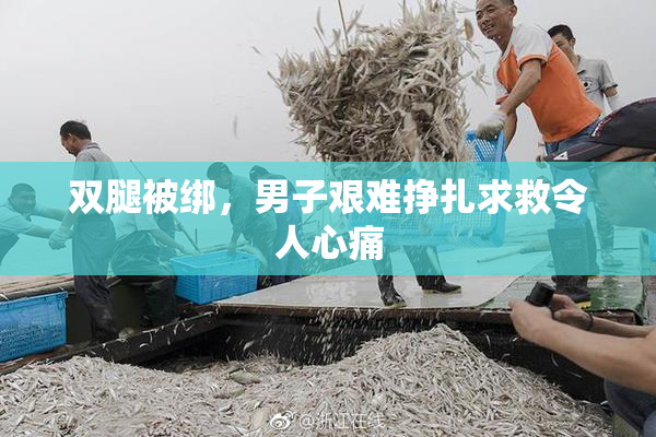双腿被绑，男子艰难挣扎求救令人心痛