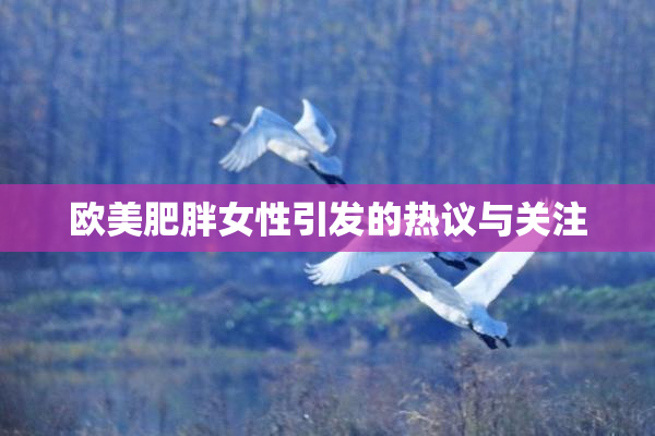 欧美肥胖女性引发的热议与关注