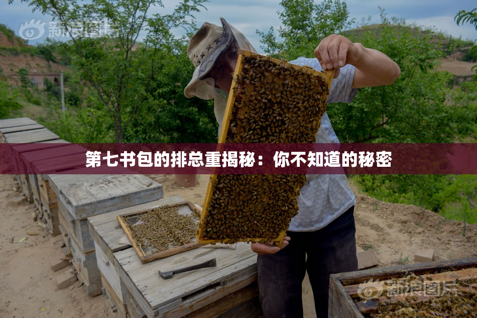 第七书包的排总重揭秘：你不知道的秘密