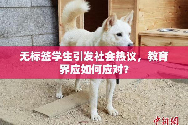 无标签学生引发社会热议，教育界应如何应对？