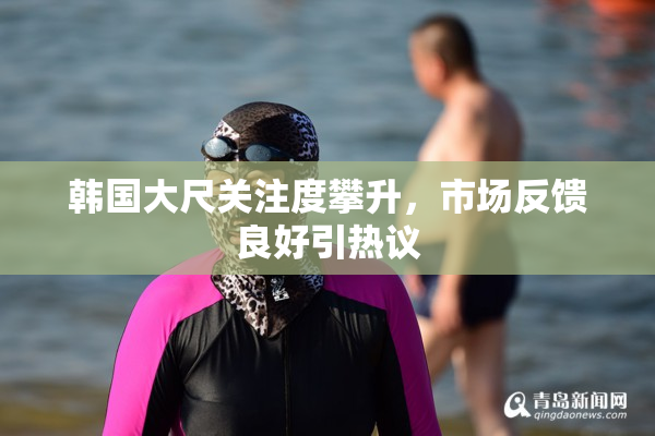 韩国大尺关注度攀升，市场反馈良好引热议