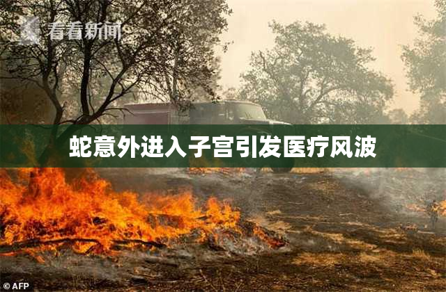 蛇意外进入子宫引发医疗风波