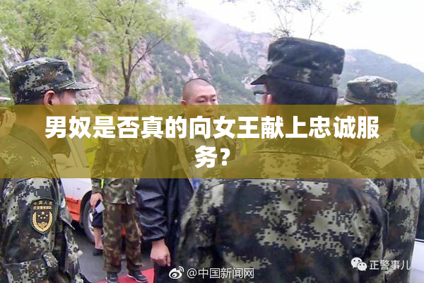 男奴是否真的向女王献上忠诚服务？
