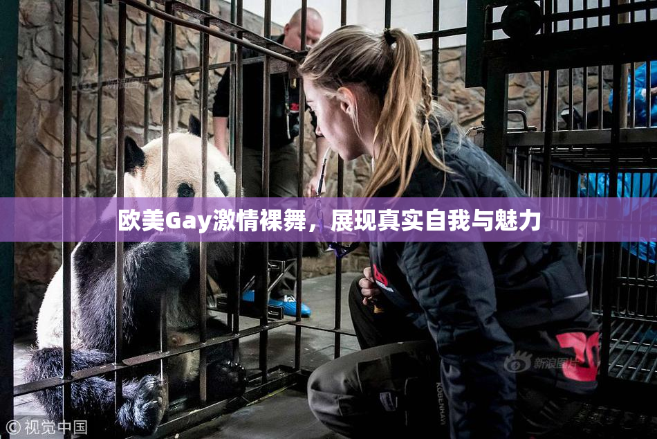 欧美Gay激情裸舞，展现真实自我与魅力