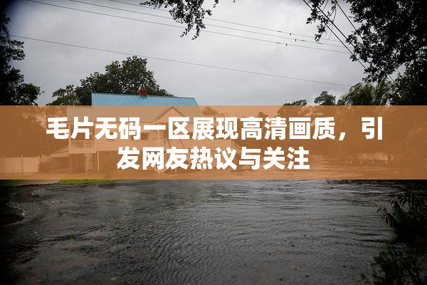 毛片无码一区展现高清画质，引发网友热议与关注