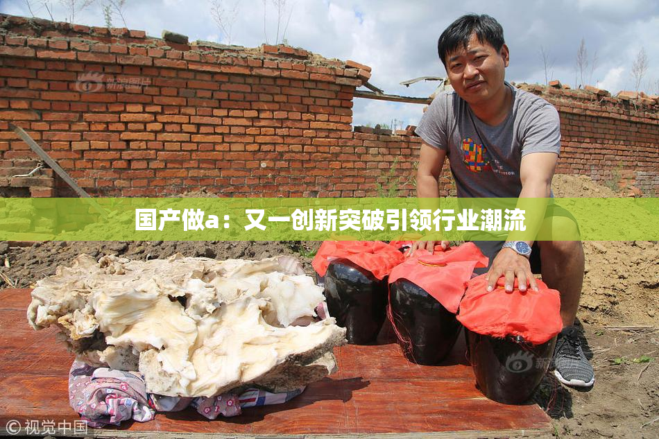 国产做a：又一创新突破引领行业潮流