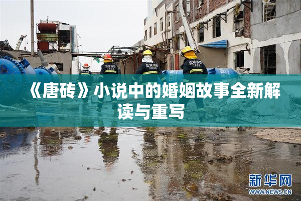 《唐砖》小说中的婚姻故事全新解读与重写
