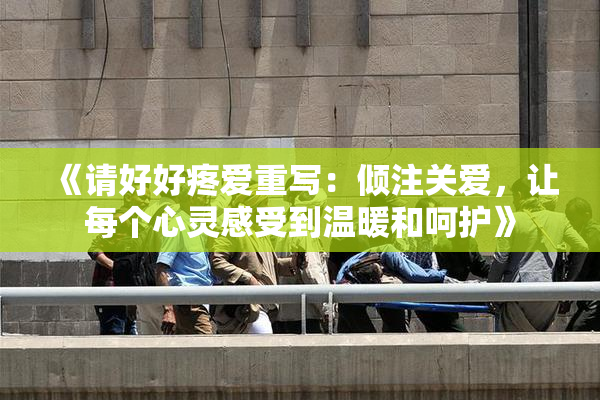 《请好好疼爱重写：倾注关爱，让每个心灵感受到温暖和呵护》