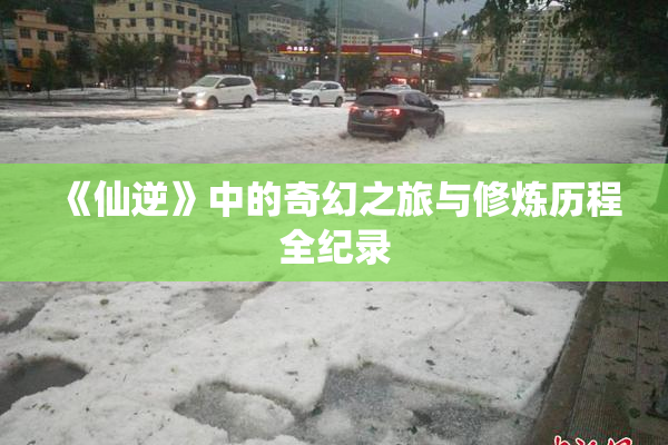 《仙逆》中的奇幻之旅与修炼历程全纪录