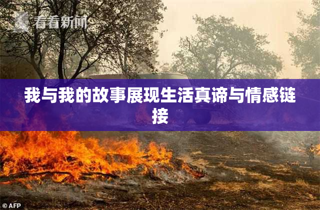 我与我的故事展现生活真谛与情感链接