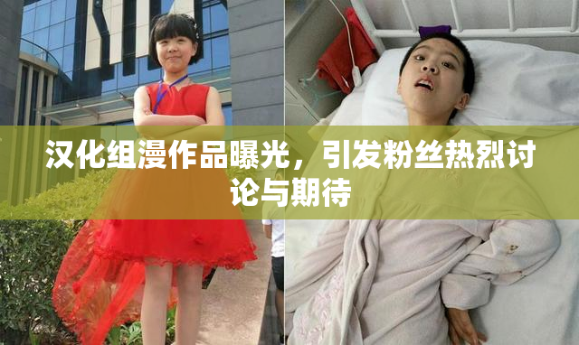 汉化组漫作品曝光，引发粉丝热烈讨论与期待