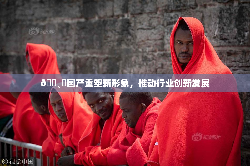🌸‌国产重塑新形象，推动行业创新发展