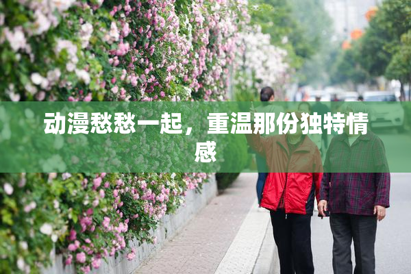 动漫愁愁一起，重温那份独特情感