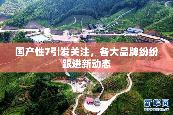 国产性7引发关注，各大品牌纷纷跟进新动态