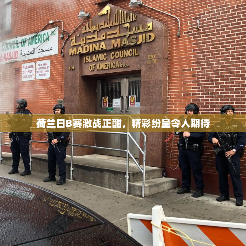 荷兰日B赛激战正酣，精彩纷呈令人期待