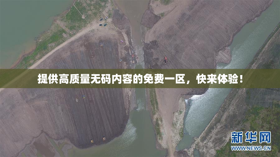 提供高质量无码内容的免费一区，快来体验！