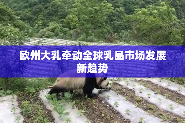 欧州大乳牵动全球乳品市场发展新趋势
