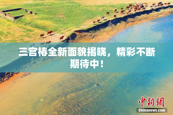 三宫椿全新面貌揭晓，精彩不断期待中！